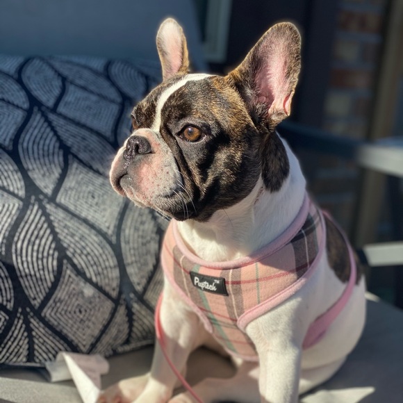 Meet your Posher, Beth - Picture 4 of 11